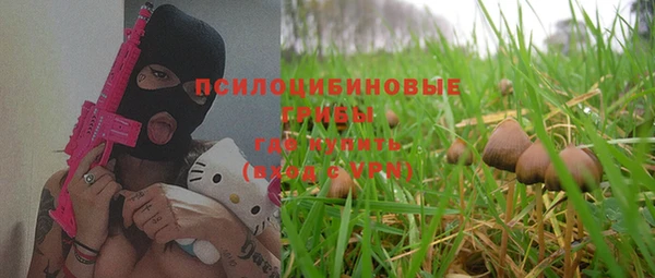 дживик Семикаракорск