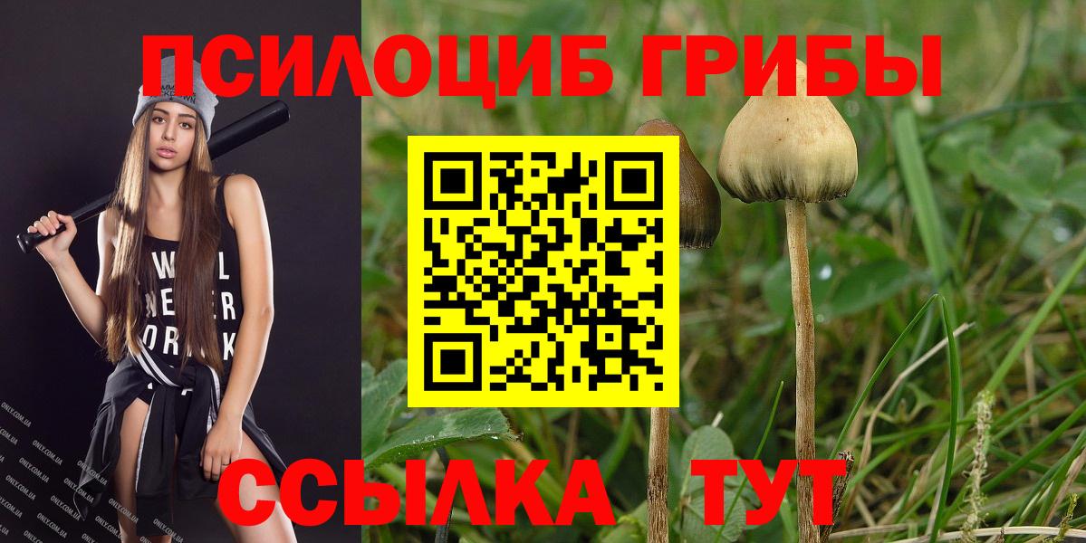 Псилоцибиновые грибы Cubensis  Вход с VPN  Гуково 